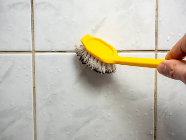 Best Certified Mold Removal  in Struthers, OH