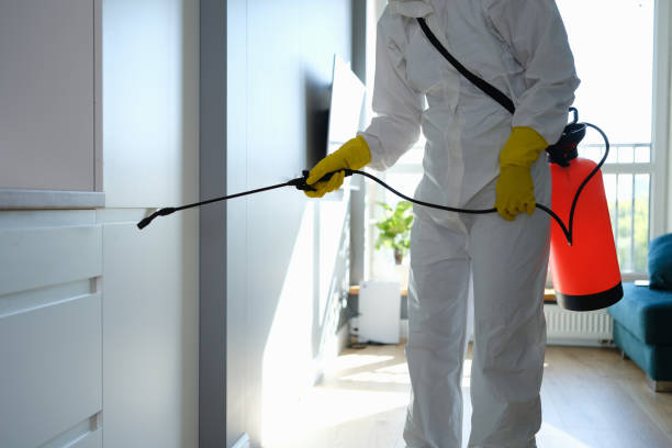 Best Professional Mold Removal  in Struthers, OH