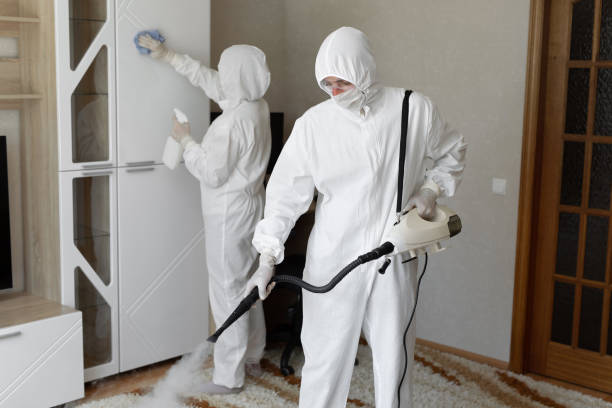 Certified Mold Removal in Struthers, OH