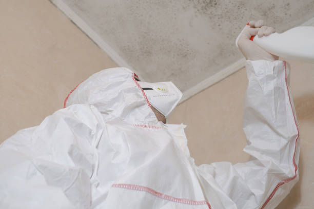 Best Toxic Mold Removal  in Struthers, OH